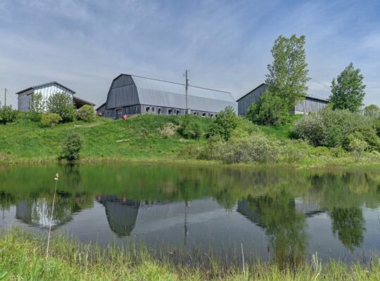 Bury (Estrie) : Ferme ovine et bovine de 123,25 ac