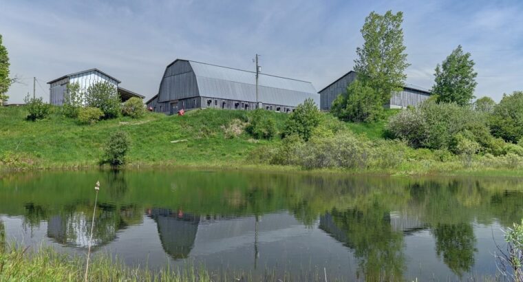 Bury (Estrie) : Ferme ovine et bovine de 123,25 ac