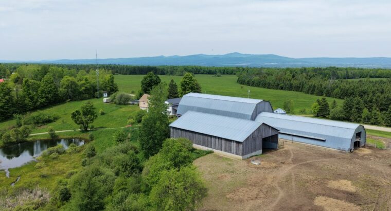 Bury (Estrie) : Ferme ovine et bovine de 123,25 ac