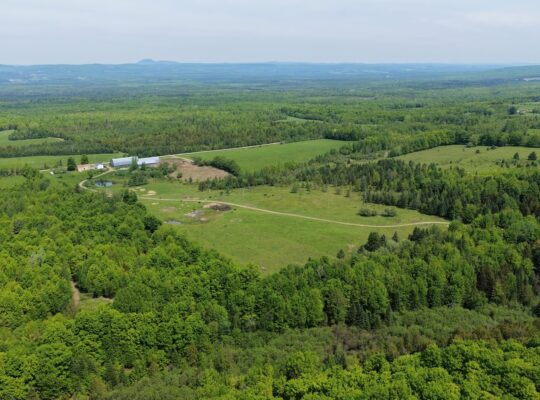 Bury (Estrie) : Ferme ovine et bovine de 123,25 ac