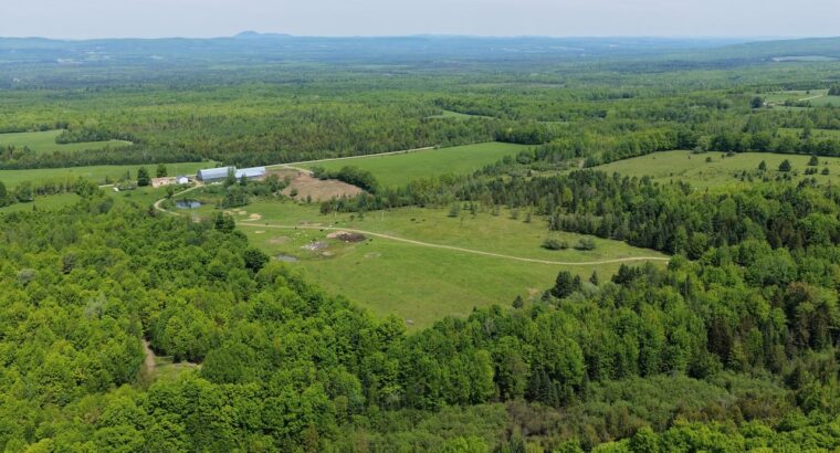 Bury (Estrie) : Ferme ovine et bovine de 123,25 ac