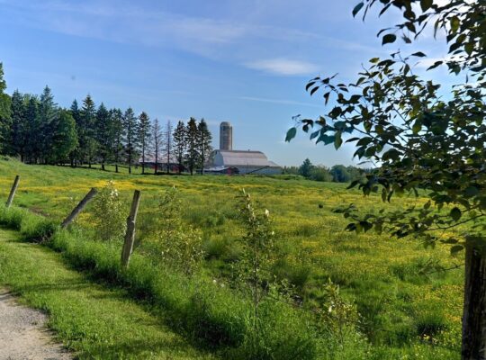 Valcourt (Estrie) :Fermette 98,41 acr avec maisson