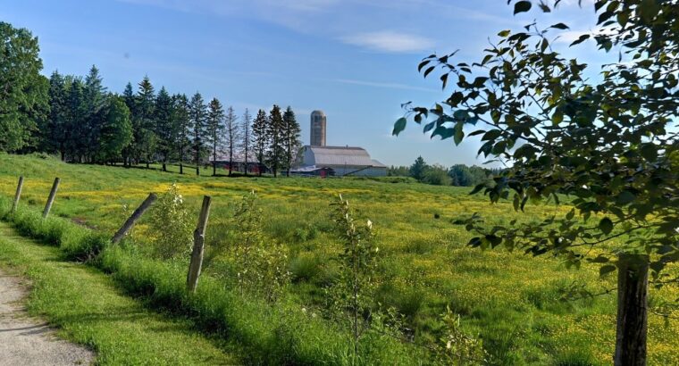 Valcourt (Estrie) :Fermette 98,41 acr avec maisson