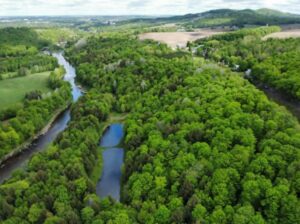 St-Christophe-d’Arthabaska Terre à bois