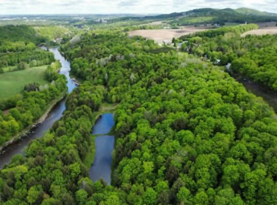 St-Christophe-d’Arthabaska Terre à bois