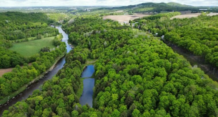 St-Christophe-d’Arthabaska Terre à bois