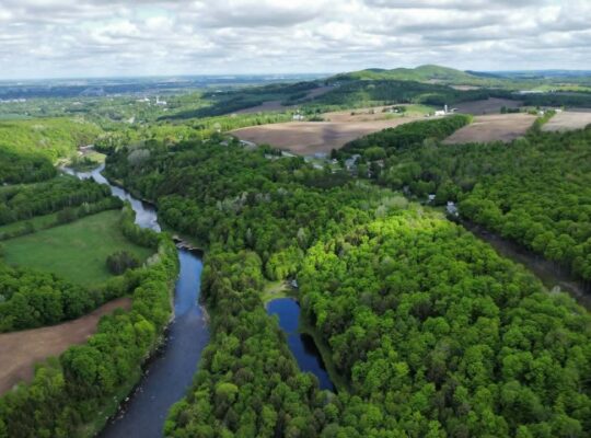 St-Christophe-d’Arthabaska Terre à bois
