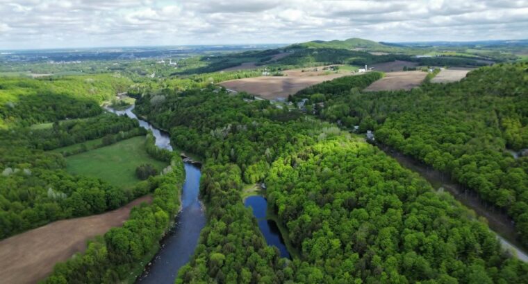St-Christophe-d’Arthabaska Terre à bois