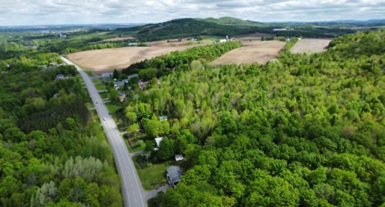 St-Christophe-d’Arthabaska Terre à bois