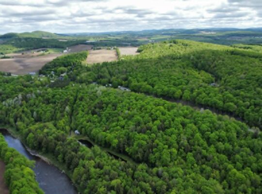 St-Christophe-d’Arthabaska Terre à bois