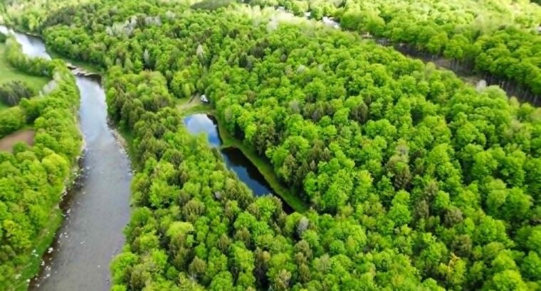 St-Christophe-d’Arthabaska Terre à bois