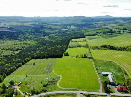 St-Rémi-de-Tingwick (Centre-du-Québec)Terre à bois