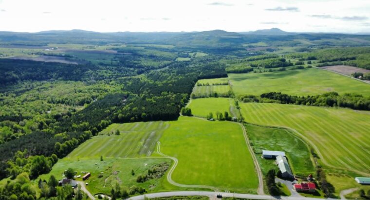 St-Rémi-de-Tingwick (Centre-du-Québec)Terre à bois