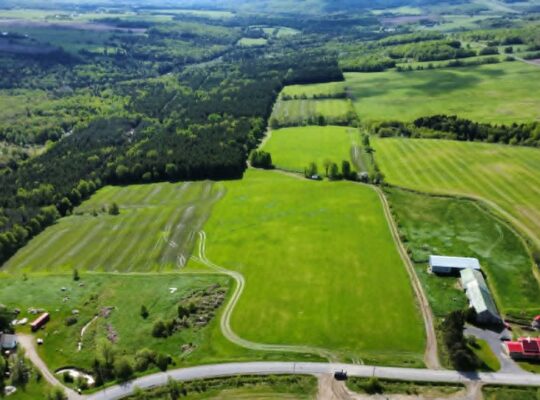 St-Rémi-de-Tingwick (Centre-du-Québec)Terre à bois