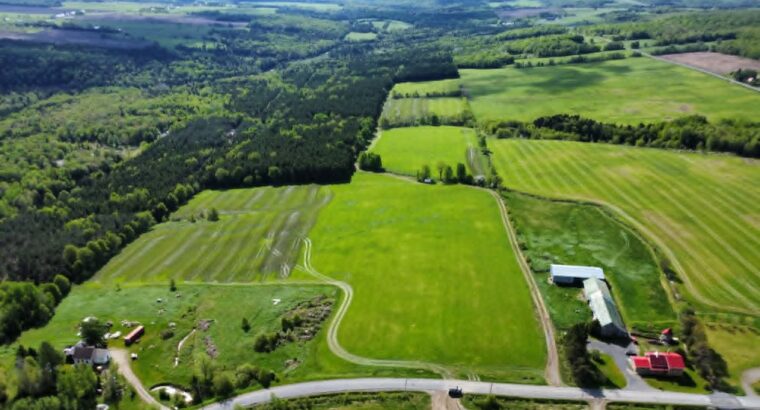 St-Rémi-de-Tingwick (Centre-du-Québec)Terre à bois