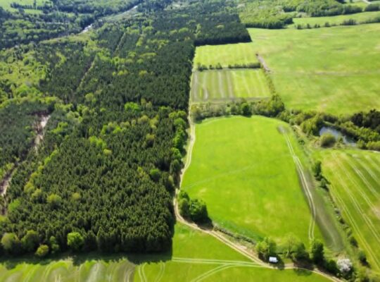 St-Rémi-de-Tingwick (Centre-du-Québec)Terre à bois