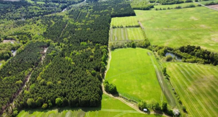 St-Rémi-de-Tingwick (Centre-du-Québec)Terre à bois