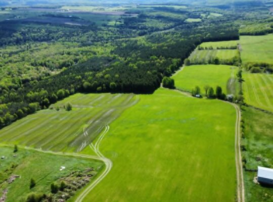 St-Rémi-de-Tingwick (Centre-du-Québec)Terre à bois