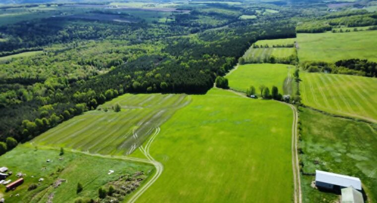 St-Rémi-de-Tingwick (Centre-du-Québec)Terre à bois