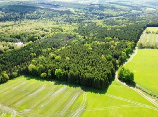 St-Rémi-de-Tingwick (Centre-du-Québec)Terre à bois