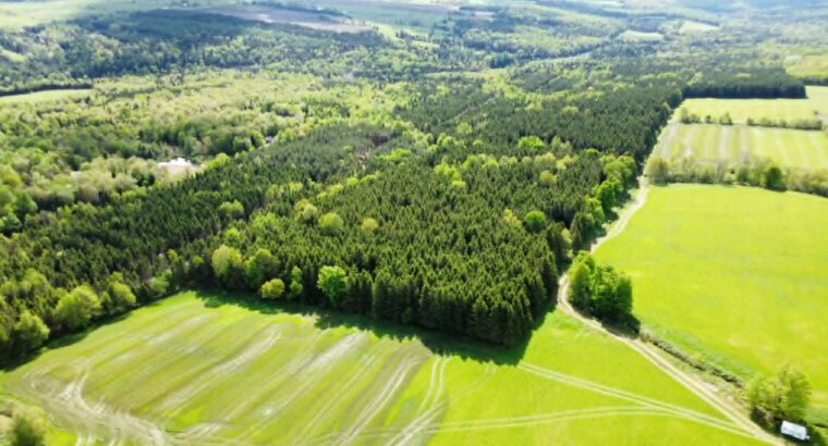 St-Rémi-de-Tingwick (Centre-du-Québec)Terre à bois