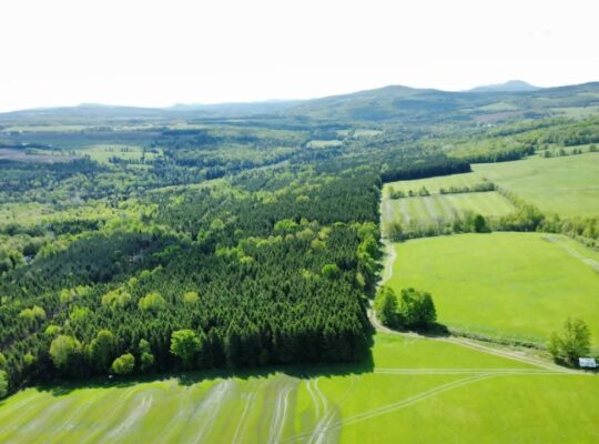 St-Rémi-de-Tingwick (Centre-du-Québec)Terre à bois