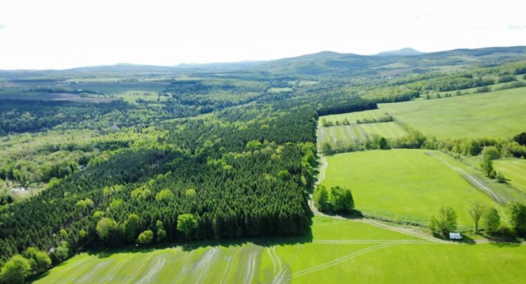 St-Rémi-de-Tingwick (Centre-du-Québec)Terre à bois