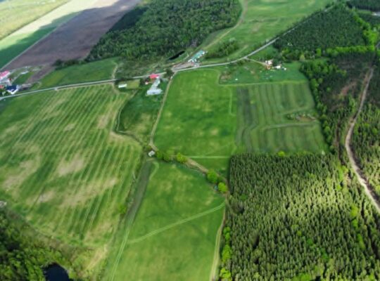 St-Rémi-de-Tingwick (Centre-du-Québec)Terre à bois