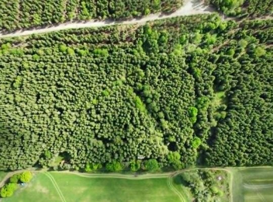 St-Rémi-de-Tingwick (Centre-du-Québec)Terre à bois