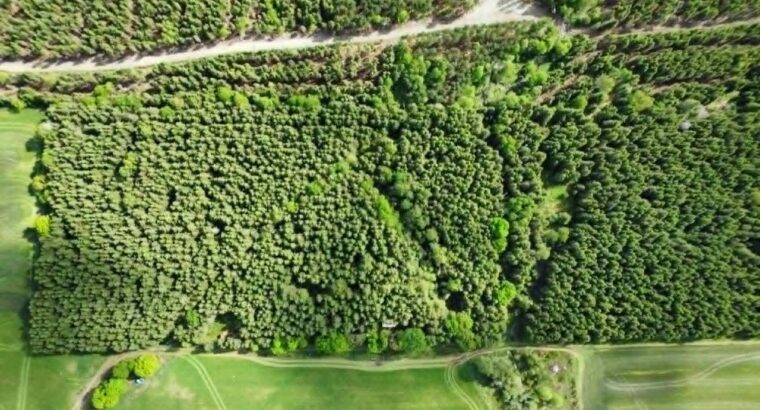 St-Rémi-de-Tingwick (Centre-du-Québec)Terre à bois