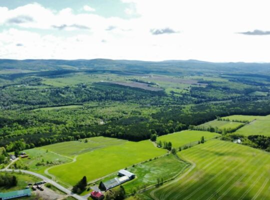 St-Rémi-de-Tingwick (Centre-du-Québec)Terre à bois