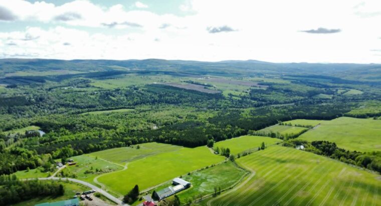 St-Rémi-de-Tingwick (Centre-du-Québec)Terre à bois