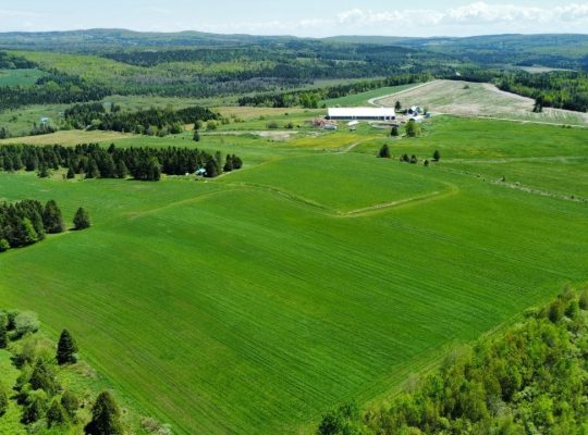 St-Camille : Ferme de chèvres laitières 158 acres