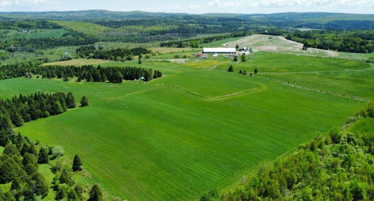 St-Camille : Ferme de chèvres laitières 158 acres