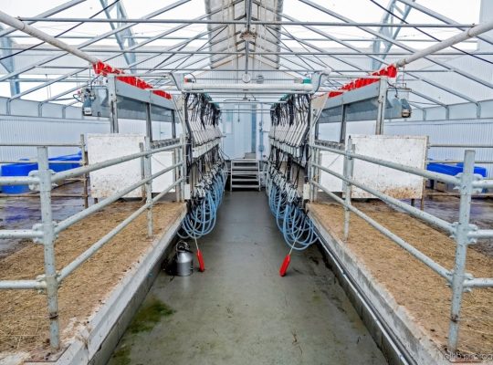 St-Camille : Ferme de chèvres laitières 158 acres