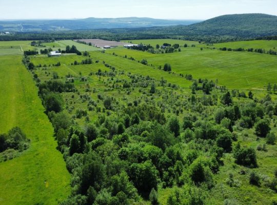 Notre-Dame-de-Ham (Ctre-du-Qc) : Ferme 86 acres