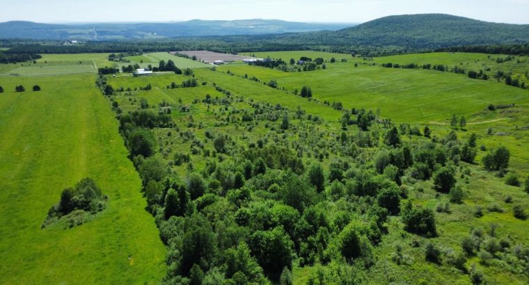 Notre-Dame-de-Ham (Ctre-du-Qc) : Ferme 86 acres