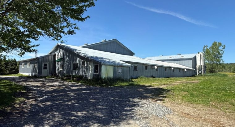 Notre-Dame-de-Ham (Ctre-du-Qc) : Ferme 86 acres