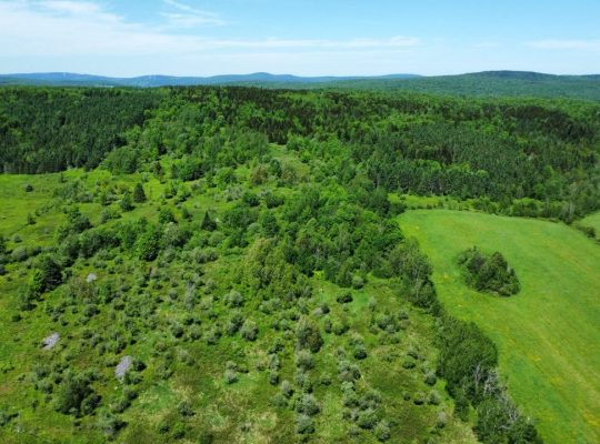 Notre-Dame-de-Ham (Ctre-du-Qc) : Ferme 86 acres