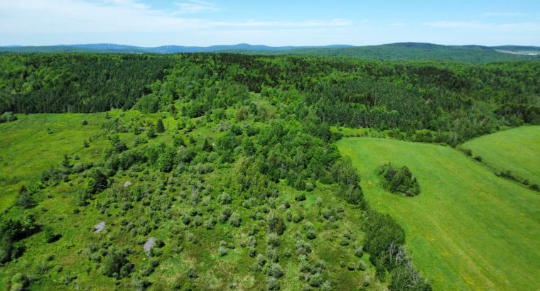 Notre-Dame-de-Ham (Ctre-du-Qc) : Ferme 86 acres