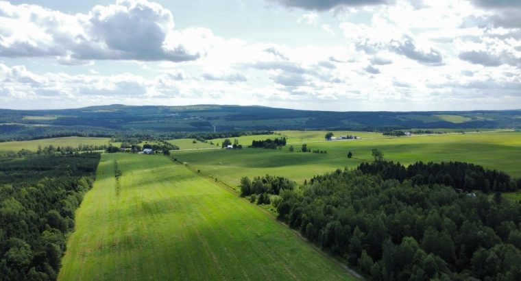 Chesterville (Ctre-du-Qc) : Fermette Érablière