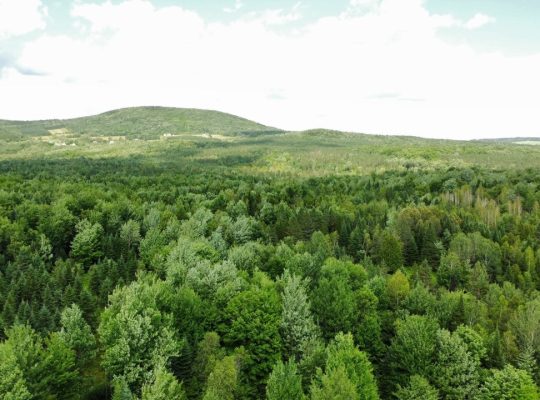Chesterville (Ctre-du-Qc) : Fermette Érablière