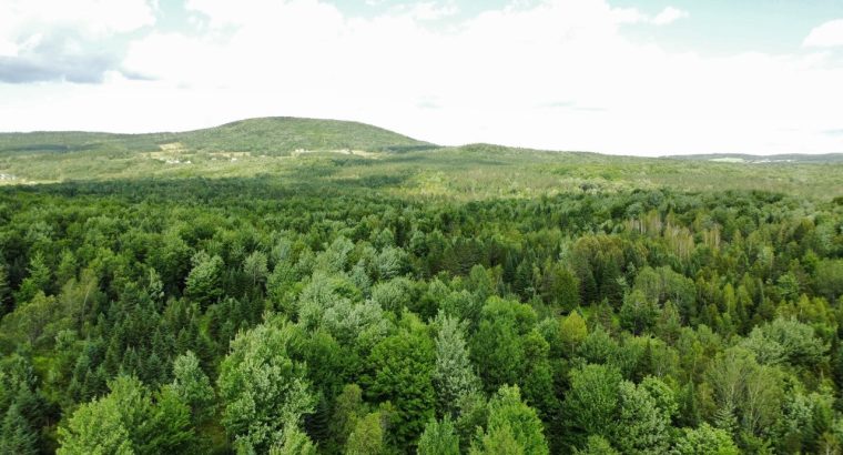 Chesterville (Ctre-du-Qc) : Fermette Érablière