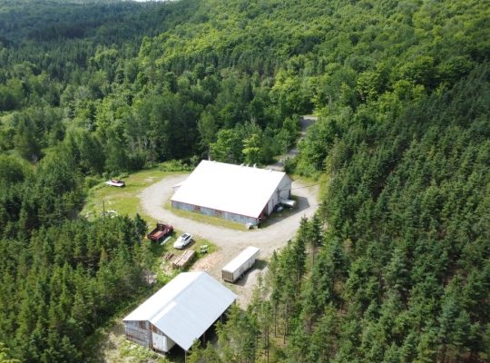 St-Sylvestre (Chaudière-Appalaches) : Érablière