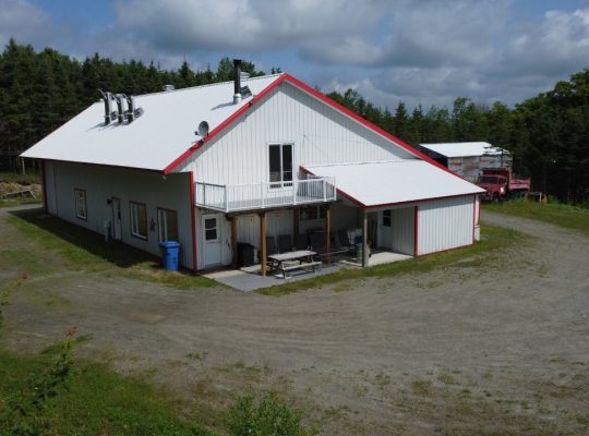 St-Sylvestre (Chaudière-Appalaches) : Érablière