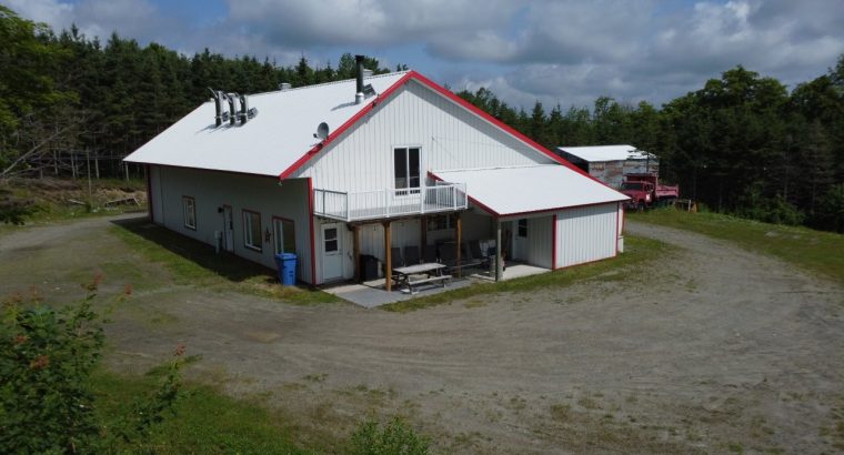 St-Sylvestre (Chaudière-Appalaches) : Érablière