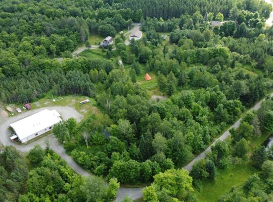 St-Sylvestre (Chaudière-Appalaches) : Érablière