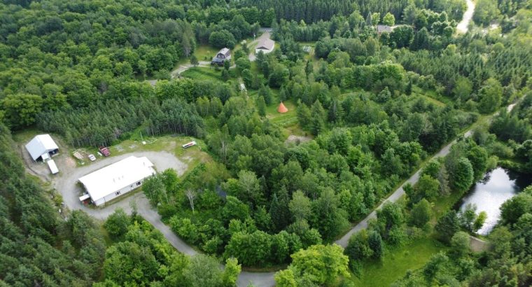 St-Sylvestre (Chaudière-Appalaches) : Érablière
