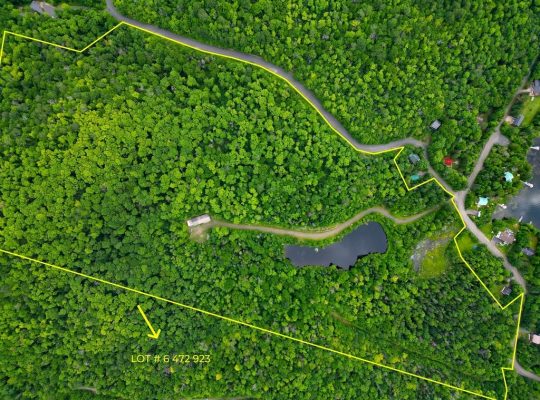 Ste-Marguerite-du-Lac-Masson (Laurentides) : Terre