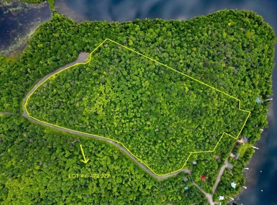 Ste-Marguerite-du-Lac-Masson (Laurentides) : Terre